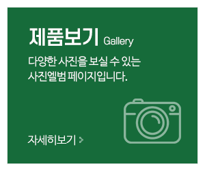 서강인타콤_메인중간_갤러리